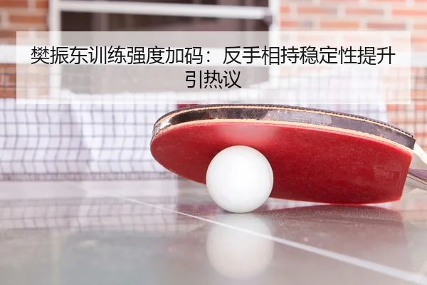 樊振东训练强度加码：反手相持稳定性提升引热议